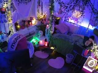 voyeurcam-veccasalt-01