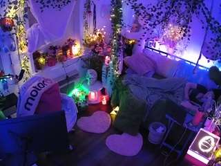 voyeurcam-veccasalt-01 webcam