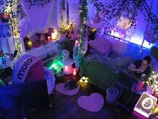 voyeurcam-veccasalt-01 webcam