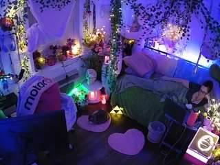 voyeurcam-veccasalt-01 webcam