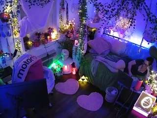 voyeurcam-veccasalt-01 webcam