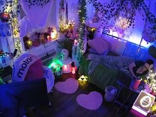 voyeurcam veccasalt 01