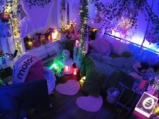 voyeurcam-veccasalt-01 webcam