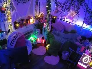 voyeurcam-veccasalt-01 webcam