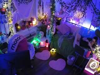 voyeurcam-veccasalt-01 webcam