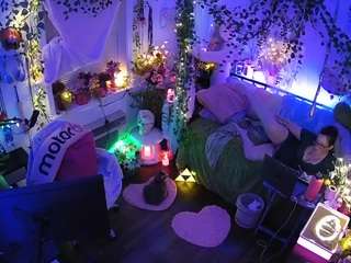 voyeurcam-veccasalt-01 webcam