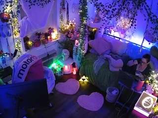 voyeurcam veccasalt 01