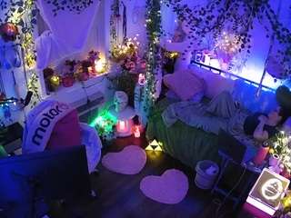 voyeurcam-veccasalt-01 webcam