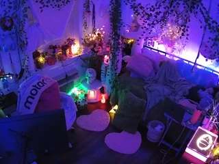 voyeurcam-veccasalt-01 webcam