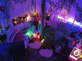 voyeurcam-veccasalt-01 webcam