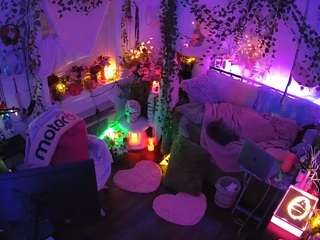 voyeurcam-veccasalt-01 webcam