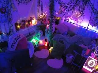 voyeurcam-veccasalt-01 webcam