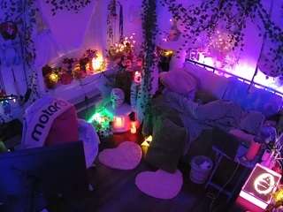 voyeurcam-veccasalt-01 webcam