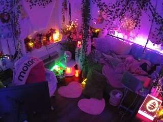 voyeurcam-veccasalt-01 webcam