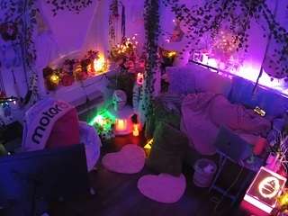 voyeurcam-veccasalt-01 webcam