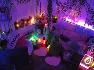 voyeurcam-veccasalt-01 webcam