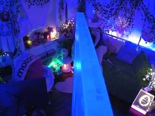 voyeurcam-veccasalt-01 webcam