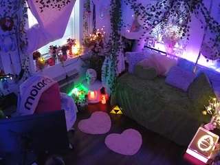 voyeurcam-veccasalt-01 webcam