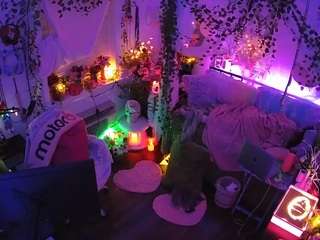 voyeurcam-veccasalt-01 webcam