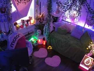 voyeurcam veccasalt 01