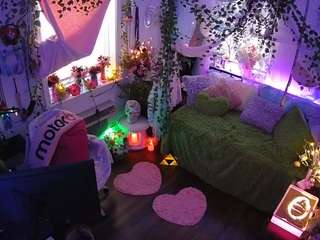 voyeurcam veccasalt 01