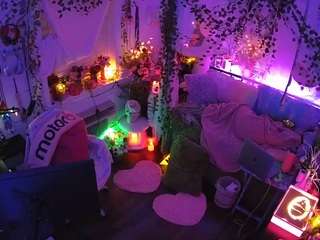 voyeurcam veccasalt 01