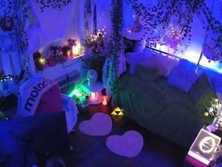 voyeurcam-veccasalt-01 webcam