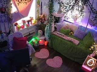 voyeurcam veccasalt 01