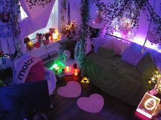 voyeurcam-veccasalt-01 webcam