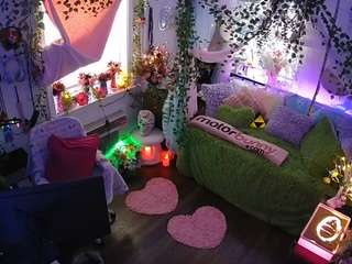 voyeurcam-veccasalt-01 webcam