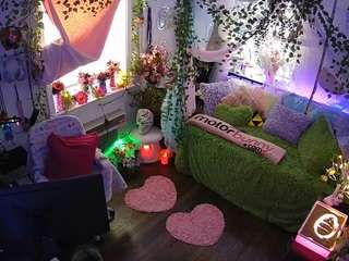 voyeurcam-veccasalt-01 webcam