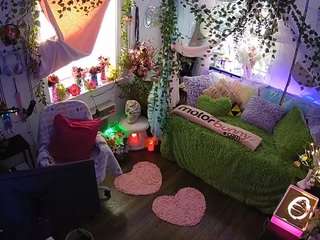 voyeurcam-veccasalt-01 webcam