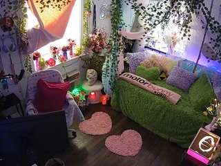 voyeurcam-veccasalt-01 webcam