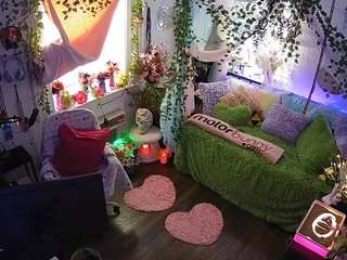 voyeurcam-veccasalt-01 webcam