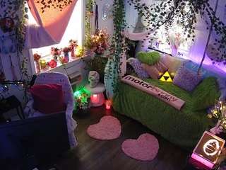 voyeurcam-veccasalt-01 webcam