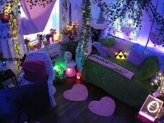 voyeurcam-veccasalt-01 webcam