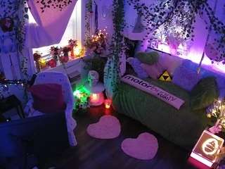 voyeurcam-veccasalt-01 webcam