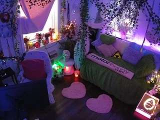 voyeurcam-veccasalt-01