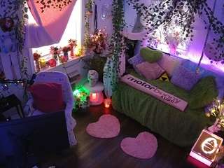 voyeurcam-veccasalt-01 webcam