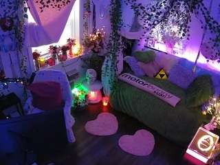 voyeurcam-veccasalt-01 webcam