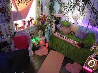 voyeurcam-veccasalt-01 webcam