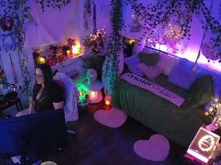 voyeurcam-veccasalt-01 webcam