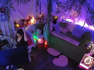 voyeurcam-veccasalt-01 webcam