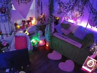 voyeurcam-veccasalt-01 webcam