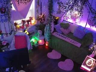 voyeurcam-veccasalt-01 webcam