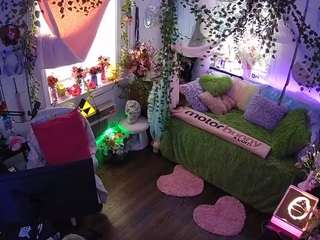 voyeurcam-veccasalt-01