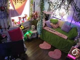 voyeurcam veccasalt 01