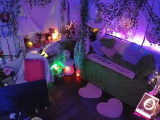 voyeurcam-veccasalt-01 webcam