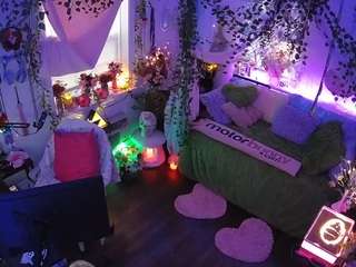 voyeurcam veccasalt 01