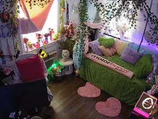 voyeurcam-veccasalt-01